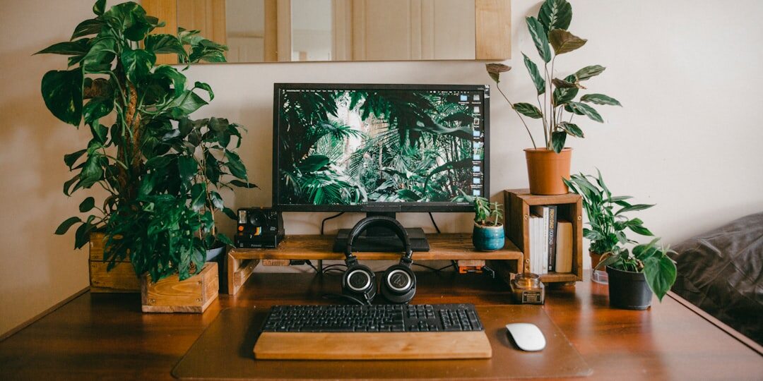 Laptop on a wooden desk displaying video editing software with a plant beside it