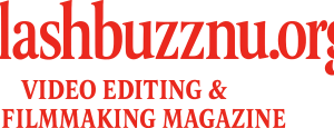 flashbuzznu.org Logo